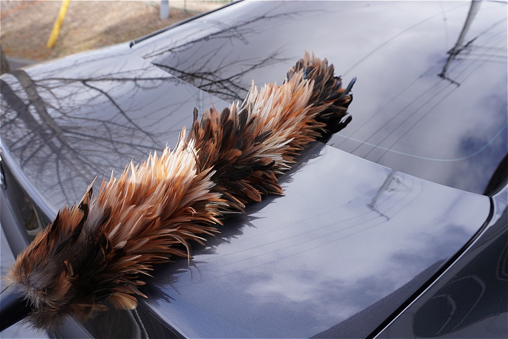 リボルト仙台による花粉対策ブログ。ボディに積もった花粉を毛ばたきで払う際の注意点と、コーティングによる保護効果。